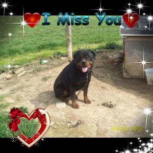 Meet your Posher, Destiny